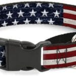 Buckle-Down Americana Rustic Stars & Stripes Martingale Dog Collar, 1" Wide - Fits 16-22" Neck - Medium