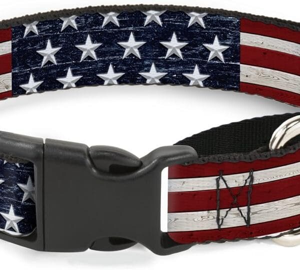 Buckle-Down Americana Rustic Stars & Stripes Martingale Dog Collar, 1" Wide - Fits 16-22" Neck - Medium