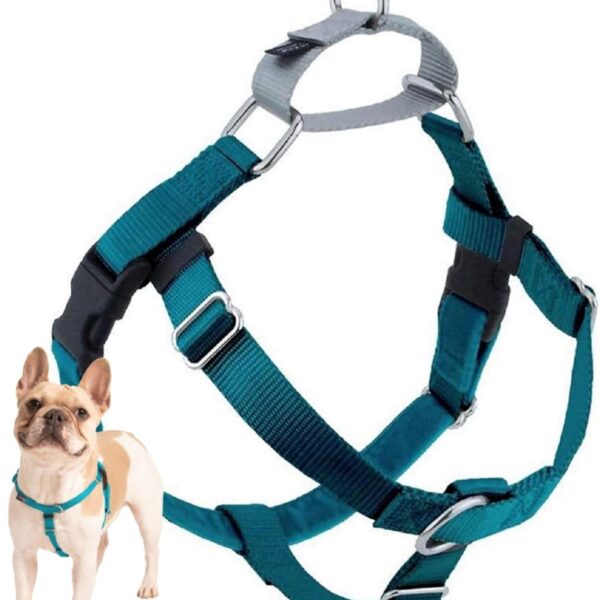 2 Hounds Design Freedom No Pull Dog Harness, Adjustable Harness, Easy Walking & Comfortable Control, Fits Small, Medium & Large Dogs, Solid Colors, Made in USA, 1" MD, Teal