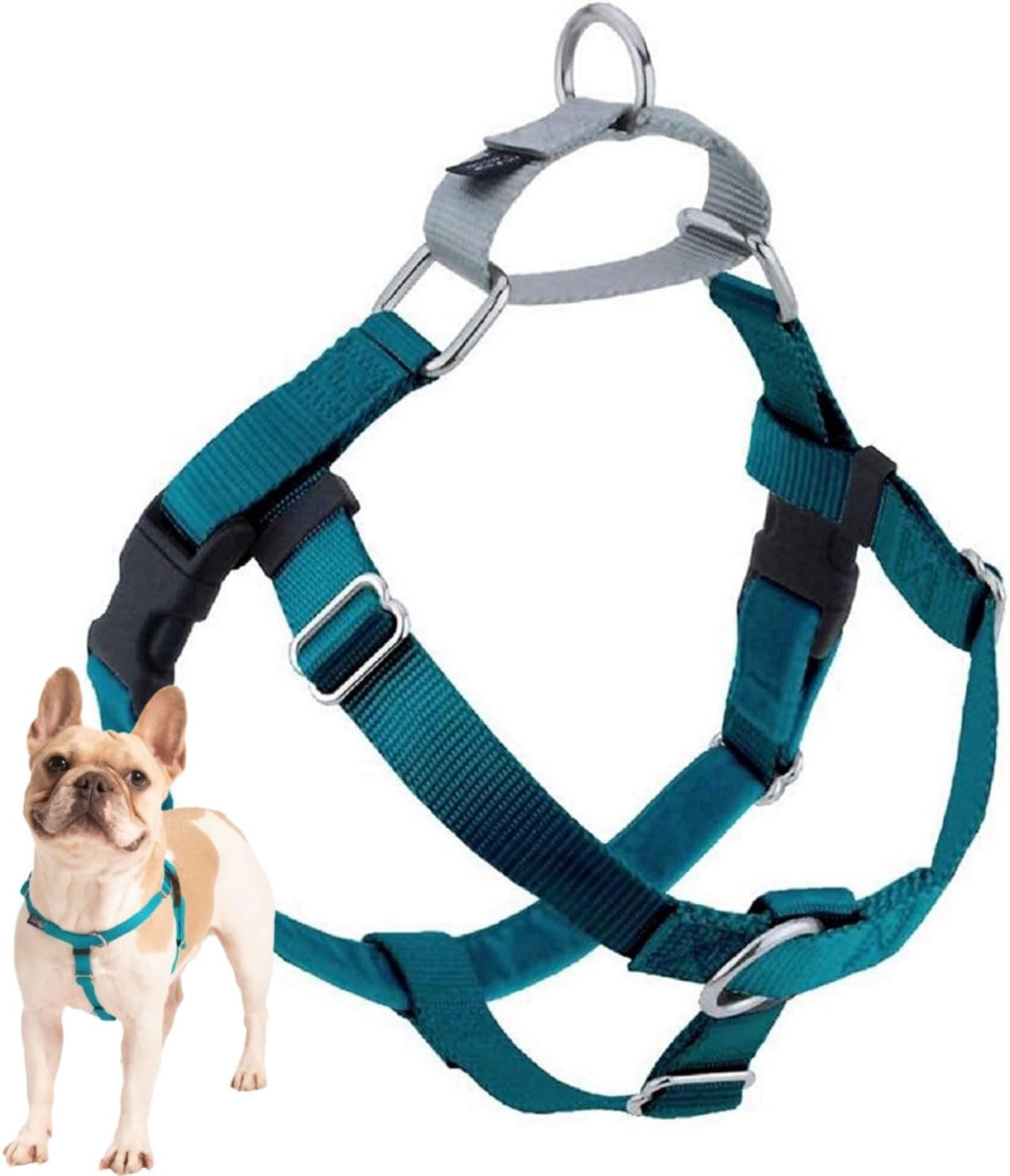 2 Hounds Design Freedom No Pull Dog Harness, Adjustable Harness, Easy Walking & Comfortable Control, Fits Small, Medium & Large Dogs, Solid Colors, Made in USA, 1" MD, Teal 2 Hounds Design Freedom No Pull Dog Harness, Adjustable Harness, Easy Walking & Comfortable Control, Fits Small, Medium & Large Dogs, Solid Colors, Made in USA, 1" MD, Teal
