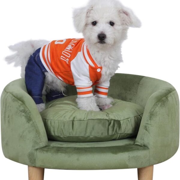 Cat Sofa, Dog Chair, Pet Bed - Wooden Frame With Velvet Fabric and Washable Cushion - Comfy Couch for Small Cats, Dogs, Puppies (Green)