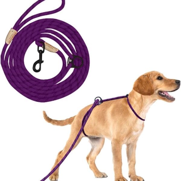 12ft No Pull No Choke Leash Long Rope Dog Leash, Anti Pulling Dog Leash, Dog Harness and Leash, Dog Leads for Walking, Double Hook & Escape Proof for All Breeds, Reflective Purple