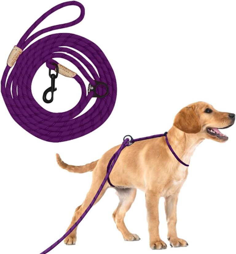 12ft No Pull No Choke Leash Long Rope Dog Leash, Anti Pulling Dog Leash, Dog Harness and Leash, Dog Leads for Walking, Double Hook & Escape Proof for All Breeds, Reflective Purple