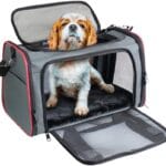 Soft-Sided Kennel Pet Carrier for Small Dogs, Cats, Puppy, Airline Approved Cat Carriers Dog Carrier Collapsible, Travel Handbag & Car Seat