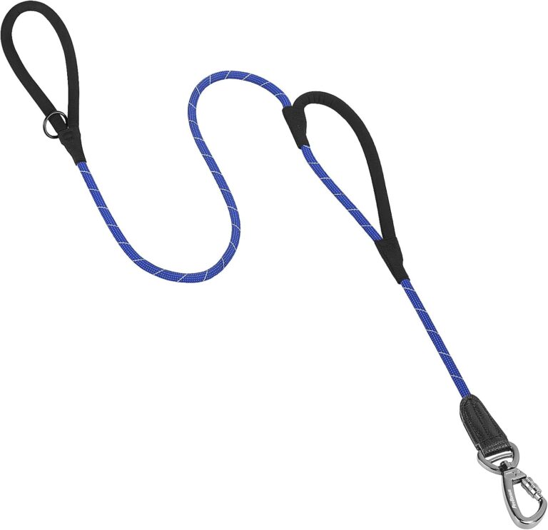 PetBonus Double Handle Rope Dog Leash, 6FT Heavy Duty Training Lead with Lockable Hook and 2 Comfortable Padded Handles, Reflective Walking Nylon Leash for Small Medium Dogs (11-55 lbs, Blue)