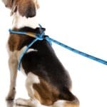 Lynxking No Pull Rope Dog Harness No Pull Reflective Leash Harness Collar 3 in 1 Dog Halter Harnesses Adjustable for Large Giant Dog (Light Blue, Large 1/2 inch)
