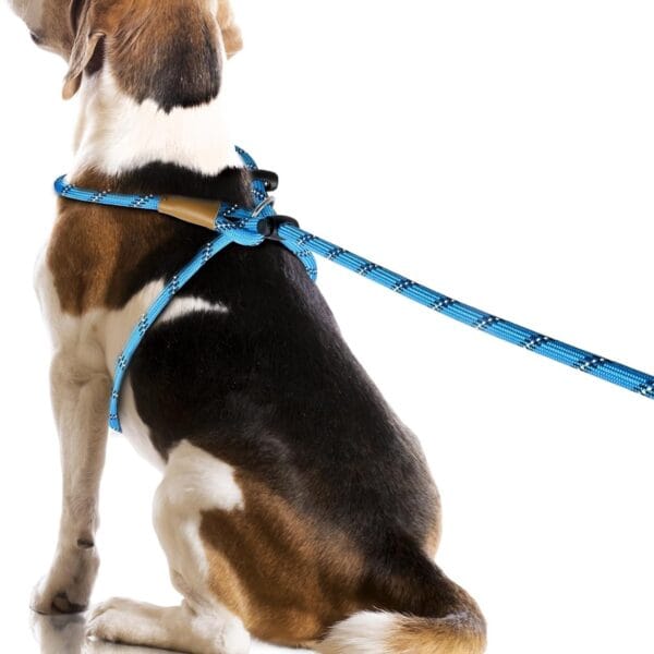 Lynxking No Pull Rope Dog Harness No Pull Reflective Leash Harness Collar 3 in 1 Dog Halter Harnesses Adjustable for Large Giant Dog (Light Blue, Large 1/2 inch)