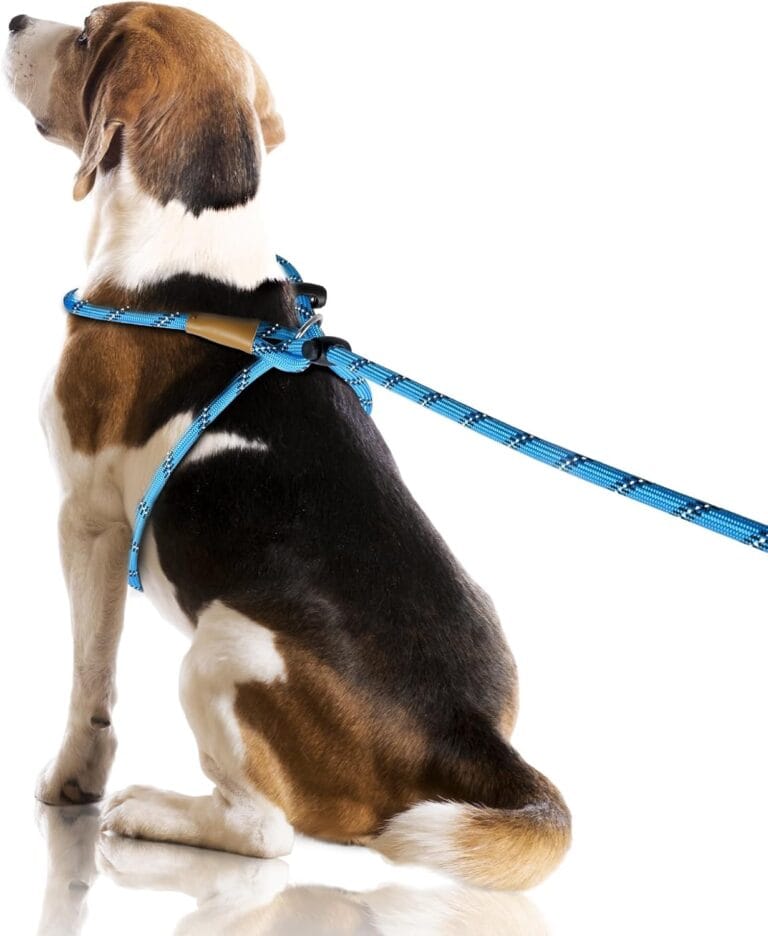 Lynxking No Pull Rope Dog Harness No Pull Reflective Leash Harness Collar 3 in 1 Dog Halter Harnesses Adjustable for Large Giant Dog (Light Blue, Large 1/2 inch)