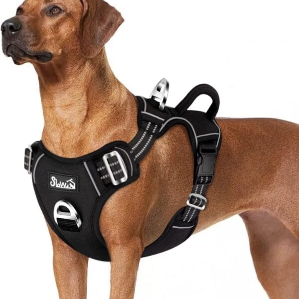 SlowTon No Pull Dog Harness, Heavy Duty No Choke Pet Harness with 2 Leash Clips and Easy Control Vertical Handle, Adjustable Soft Padded Dog Vest for Small, Medium and Large Dogs(Black,Large)