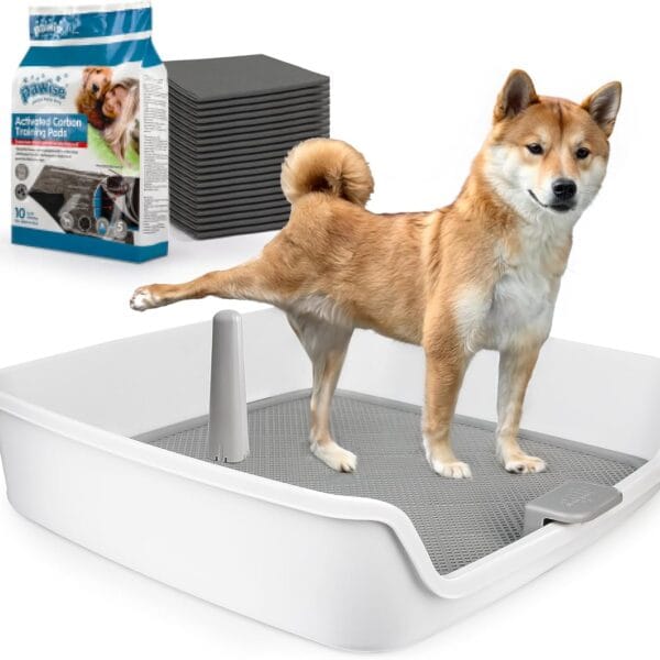 ALL FOR PAWS Pee Pad Holder, XL Dog Litter Box, Puppy Pads Holder, Puppy Potty Tray for Small/Medium/Large Dog Potty Training, 25" x 25"