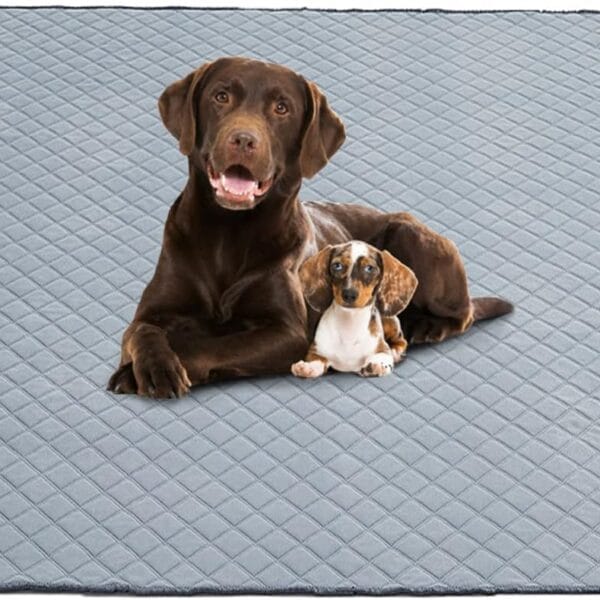 Eterish Reusable Washable Pee Pads for Dogs Large/Extra Large 36'' x 41'' 2 Pack, Absorbent Pet Puppy Dog Training Pads Non-Slip, Waterproof Whelping Potty Pads for Dogs Leak-Proof