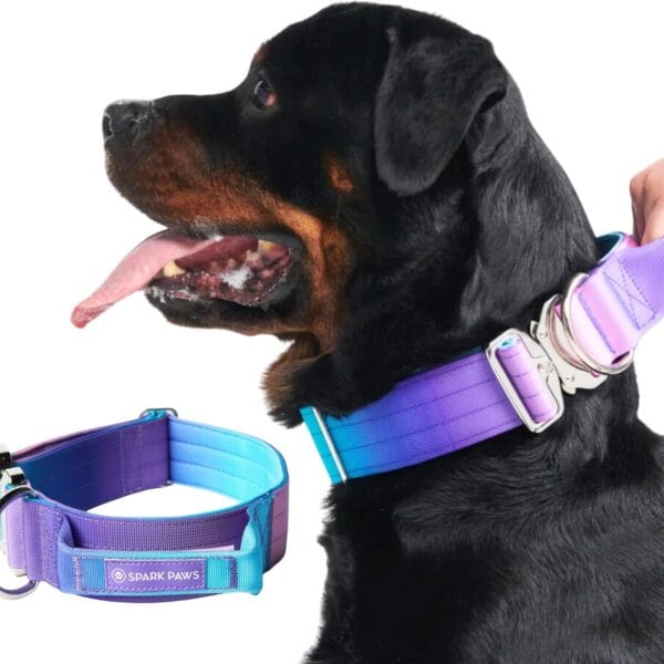 Spark Paws Tactical Dog Collar - Heavy Duty, Premium Quality, Thick and Durable for Large and Medium Dogs - 90's Retro - L