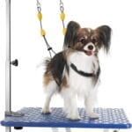 Petbobi Dog Grooming Arm with Clamp and Dual No Sit Haunch Holders, Height Adjustable 18 to 32 inches, Strong Stainless Steel Foldable Pet Grooming Table Arm Overhead for Small Pets