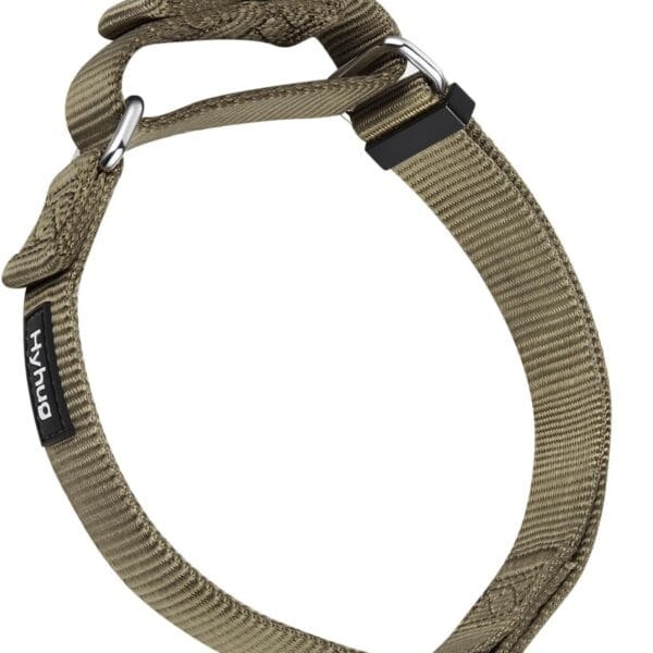 Hyhug Martingale Collar for Dogs Large Green |Escape - Proof Heavy Duty Nylon Durable No Pull, Ideal for Training & Daily Walks
