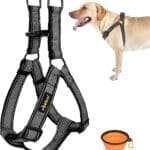 No Pull Dog Harness with Reflective Adjustable,Stops Pets from Pulling and Choking On Walks for Large Dogs (Black, XXL)