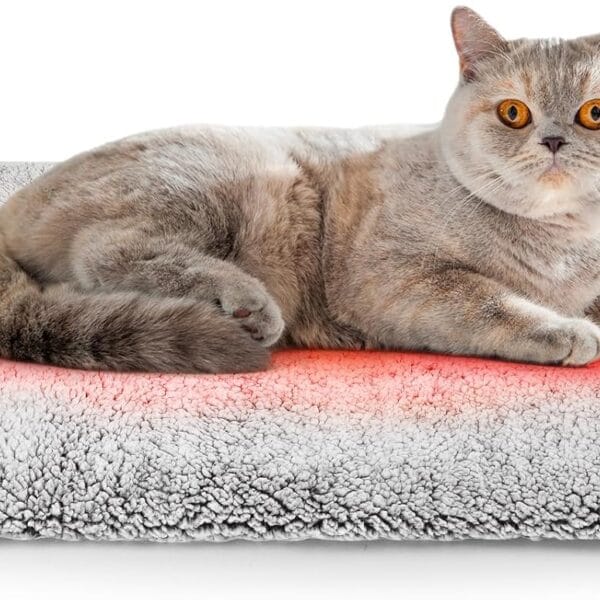 Self Warming Cat Bed Mat, Self Heating Mat for Dog, Extra Warm Thermal Pet Pad with Non-Slip Bottom, Removable Washable Cover for Indoor Outdoor Non Electric (Black, 18x24in)