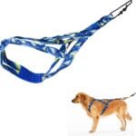 Dog Pulling Harness, Sled Dog Harness for Running, Pull Dogs Leash is Suitable for Cross-Country Running, Dogs Sports, Bicycle Traction, Ski Traction, Sled, Sled Dog 25.5kg (Blue, L)