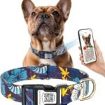 Custom Dog Collar with Name QR Personalized Online ID - Female Cute Dog Collar for Large Dogs - Comfortable Adjustable Floral Soft Thin Dog Collar with Buckle