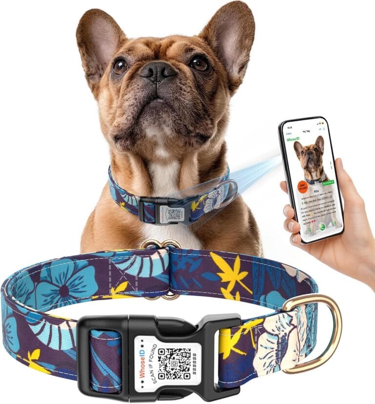 Custom Dog Collar with Name QR Personalized Online ID - Female Cute Dog Collar for Large Dogs - Comfortable Adjustable Floral Soft Thin Dog Collar with Buckle
