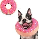 Supet Inflatable Dog Cone Collar Alternative After Surgery, Doggie Neck Donut Collar Recovery ECollar for Post Surgery, Soft Dog Cone for Small Medium Puppies Cats