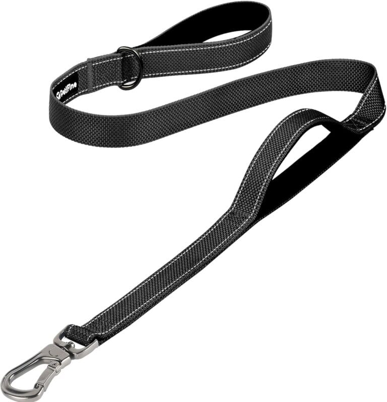 PetiFine 4FT Heavy Duty Dog Leash with Soft Padded Double Handle, Durable Strong Clasp Dog Leashes, Reflective Nylon Walking Lead for Large,Medium,Small Breed Dogs, Black