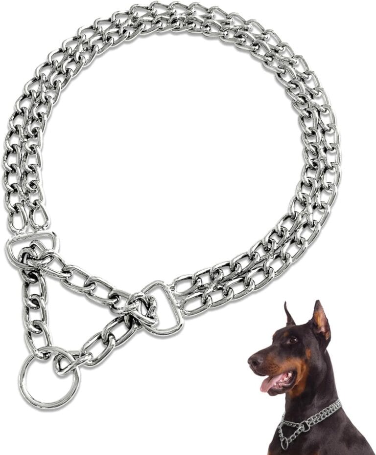 Dog Chain Collar Metal Martingale Collars, Chrome Plated for Training, Chew Proof, Double Link Collar for Medium Dogs(Suitable for Dog's Neck 20-22.5'')