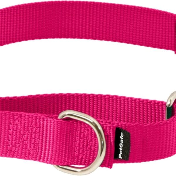 PetSafe Martingale Collar with Quick Snap Buckle - Adjustable No-Slip Design for Better Leash Control - Durable Nylon Material - Humane Gentle Correction for Safer Training - Small - Raspberry Pink
