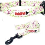 Dog Collar and Leash Set - Durable Polyester Material -Adjustable Collar-Safe Metal Buckle-Cute Summer Dog Leash and Collar Set for Small, Medium and Large Dogs