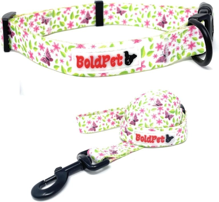 Dog Collar and Leash Set - Durable Polyester Material -Adjustable Collar-Safe Metal Buckle-Cute Summer Dog Leash and Collar Set for Small, Medium and Large Dogs