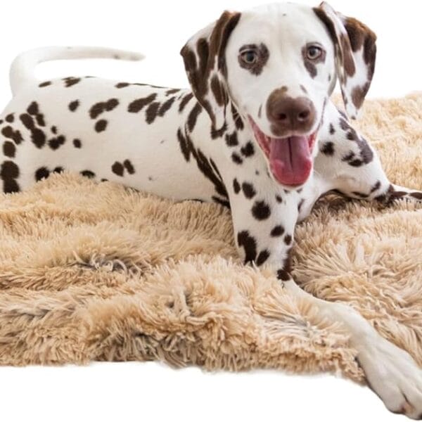 Best Friends by Sheri Calming Shag Dog Blanket  Ultra Soft Faux Fur Pet Throw, Anxiety-Relief, Lightweight Warm Bed Cover for Dogs and Cats, Machine Washable, Taupe, 30" x 40"