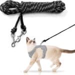 Extra Long Cat Leash for Yard, 9M/30FT Lightweight Outdoor Cat Leash Long Light Extension, Long Thin Lead for Rabbits, Kitten, Puppy and Small Animals