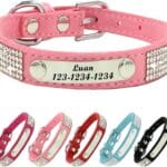 Personalized Dog Collar with Rhinestone Name Tag - Glitter Polyester Collar Adjustable [PinkM]
