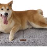 Joydeco Low Profile Dog Crate Mat Reversible Bed Pad, Washable Dog Pad Mat with Ultra Soft Fleece, Compact Design Kennel Beds Mats for Large Medium Small Pets, 35" x 23" Gray