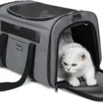 Cat Travel Carrier - Foldable Dog Carrier Bag, Soft Sided cat Carrier up to 20 Lbs,Pet Carrier Soft-Sided Escape Proof with 4 Ventilated Windows, Airline Approved Travel Puppy Carrier (Grey)