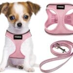 YIMEIS Dog Harness and Leash Set, No Pull Soft Mesh Pet Harness, Reflective Adjustable Puppy Vest for Small Medium Large Dogs, Cats (Pink, X-Small (Pack of 1)