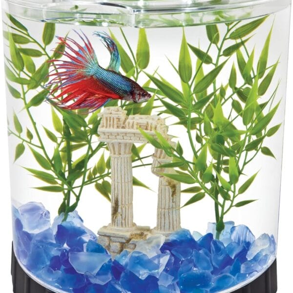 Tetra 1 Gallon Half Moon Small Fish Tank w/ Movable LED Light, For Betta & Gold Fish, Aquarium