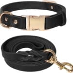 LWBMG 5FT Leather Dog Collar and Leash Set, Heavy Duty Dog Leash and Collar with Metal Buckle,Adjustable Pet Collar and Leash, Soft Pet Leash and Collar Set for Small Medium Dogs Black