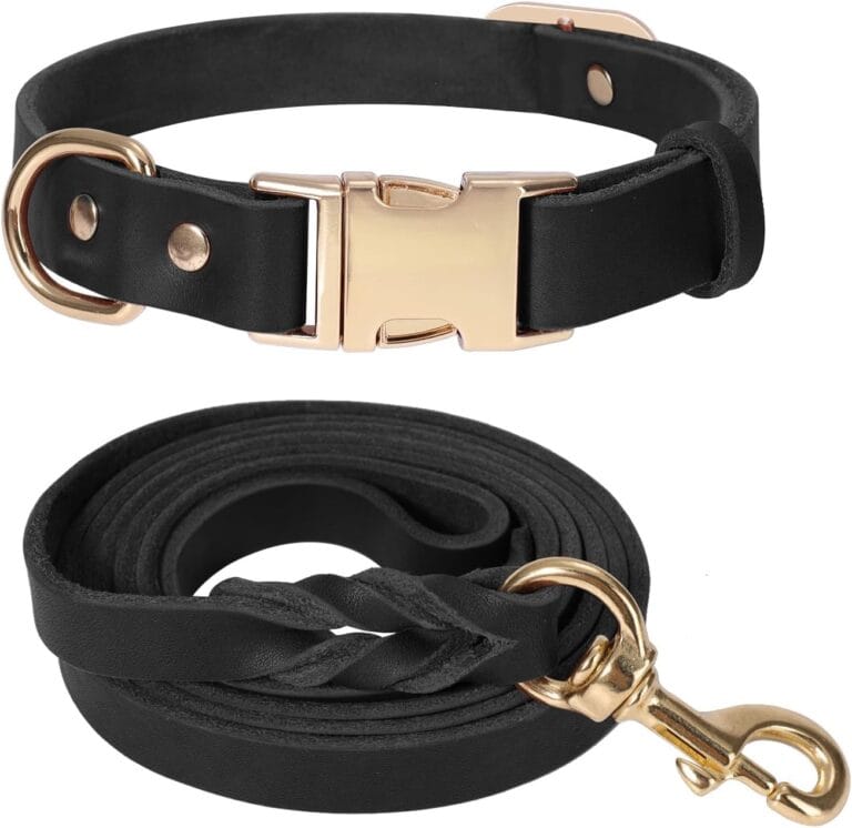 LWBMG 5FT Leather Dog Collar and Leash Set, Heavy Duty Dog Leash and Collar with Metal Buckle,Adjustable Pet Collar and Leash, Soft Pet Leash and Collar Set for Small Medium Dogs Black