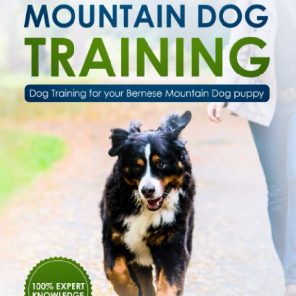 Bernese Mountain Dog Training: Dog Training for your Bernese Mountain puppy