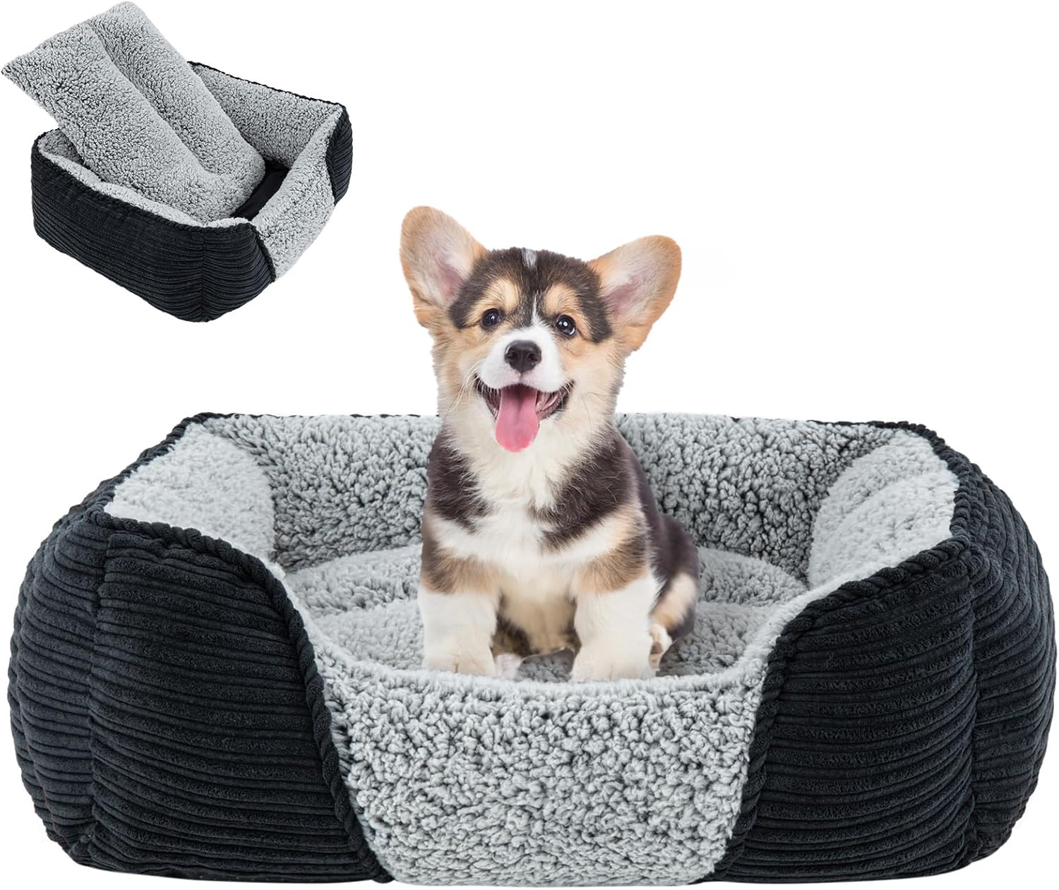 Miguel Washable Dog Bed with Removable Cushion for Small Dogs, Easy to Wash Pet Sofa Bed with Side, Rectangle Bolster Cat Bed Calming Cuddle Puppy Bed with Anti-Slip Bottom, Black 20 Inch Miguel Washable Dog Bed with Removable Cushion for Small Dogs, Easy to Wash Pet Sofa Bed with Side, Rectangle Bolster Cat Bed Calming Cuddle Puppy Bed with Anti-Slip Bottom, Black 20 Inch