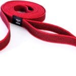 EzyDog Track and Train Premium Dog Leash - 16-Foot Extra Long Dog Lead Perfect for Training Your Pup with Ease - Includes Traffic Control Handle for Safety and Security (16', Red)