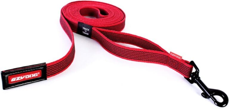 EzyDog Track and Train Premium Dog Leash - 16-Foot Extra Long Dog Lead Perfect for Training Your Pup with Ease - Includes Traffic Control Handle for Safety and Security (16', Red)