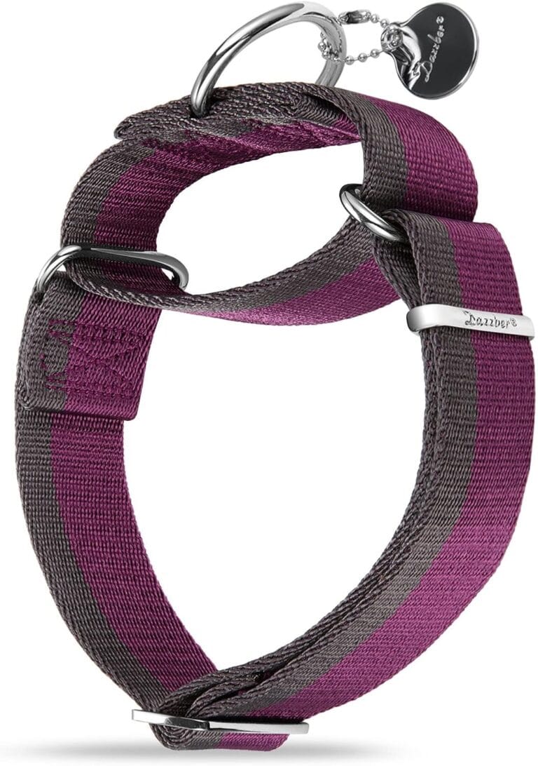 Martingale Collar 1.5 Inch Wide 1200D Extra Strong Nylon Dog Collar, No Pull Heavy Duty Dog Collar with 2-Color Stripe for Medium to XLarge Dogs (Extra Large, Purplish Red &Grey)