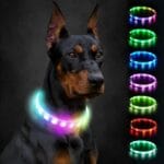 Joytale Light Up Dog Collar, Rainproof and Rechargeable LED, 9 Flashing Modes, Glow for Night Walking, Cuttable Soft Silicone Collar for Large Medium Small Dogs, 27.5 Inch