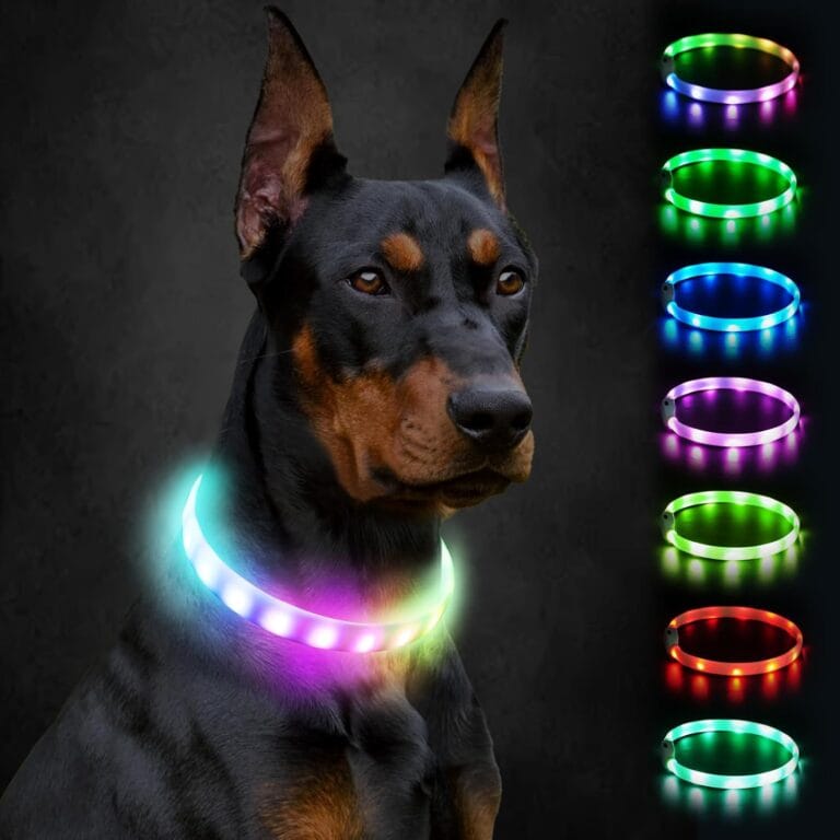 Joytale Light Up Dog Collar, Rainproof and Rechargeable LED, 9 Flashing Modes, Glow for Night Walking, Cuttable Soft Silicone Collar for Large Medium Small Dogs, 27.5 Inch