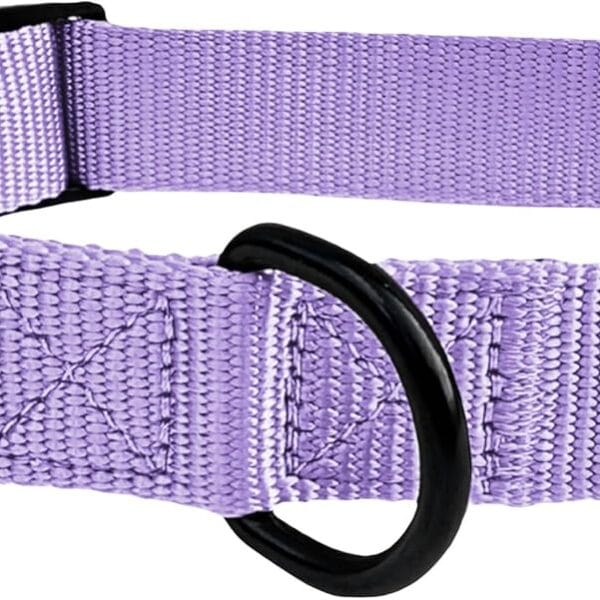 ShawnCo Dream Walk Dog Collar- Premium, Adjustable and Comfortable Pet Collar for Small, Medium, Large and Extra Large Dogs (S, ICY Lilac)
