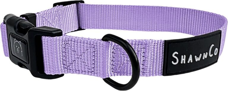 ShawnCo Dream Walk Dog Collar- Premium, Adjustable and Comfortable Pet Collar for Small, Medium, Large and Extra Large Dogs (S, ICY Lilac)