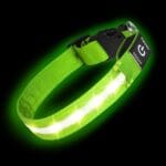Super Bright LED Dog Collar - Fully Waterproof & Adjustable Glow Collar - USB-C Rechargeable for Night Walking, Safety - Flashing Lighted Collar for Dogs(Green,L)