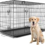 PetsTuff GREAT CRATES 42 X-Large Dog Crate - Heavy-Duty Dog Kennel With Divider Panel For Pets 65-85lbs - Durable Leaf-Proof Tray - Foldable, Carry Handle & Wheels For Easy Moving - Two-Door Dog Cage