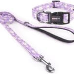 Reflective Dog Collar Leash Combo: Puppy Small Medium Large Adjustable Cute Matching Collar Set for Pet Girl/Boy Comfy Easy Walk Running Outdoor Hiking (XS Small, Purple)
